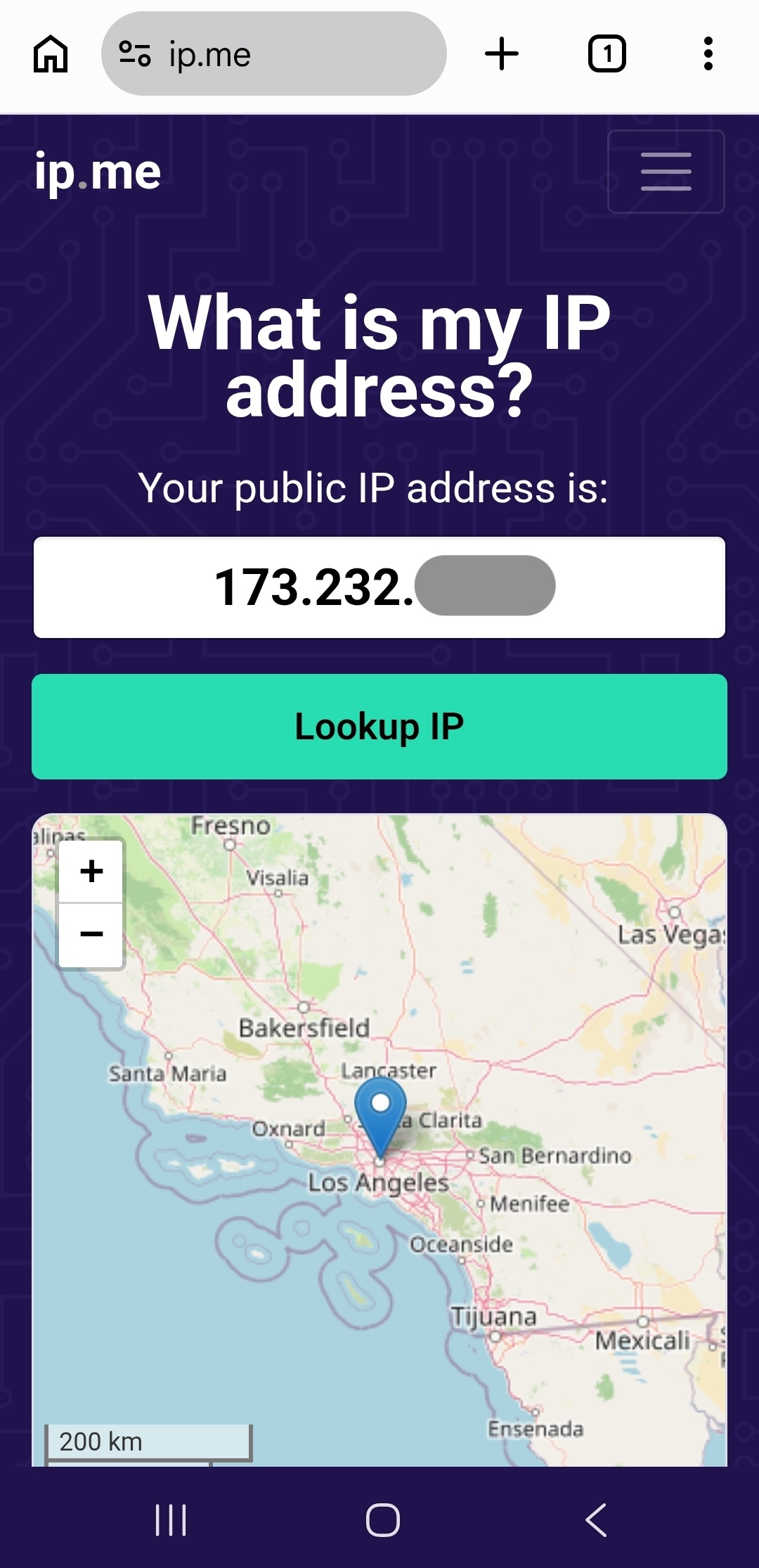 Example IP lookup result with the IP address hidden